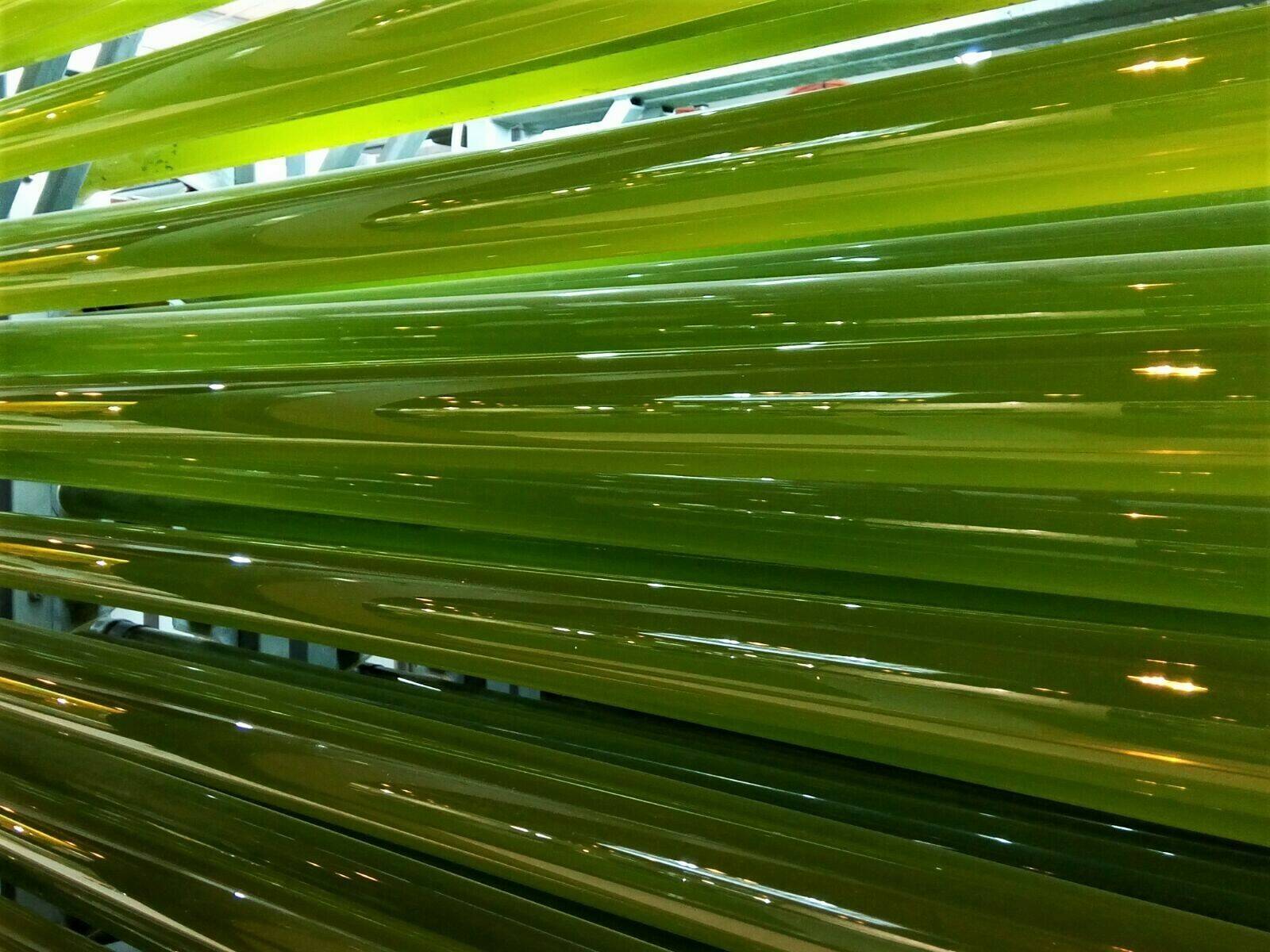 Foto 3|Foto 1 (1)|Foto 2 (1)